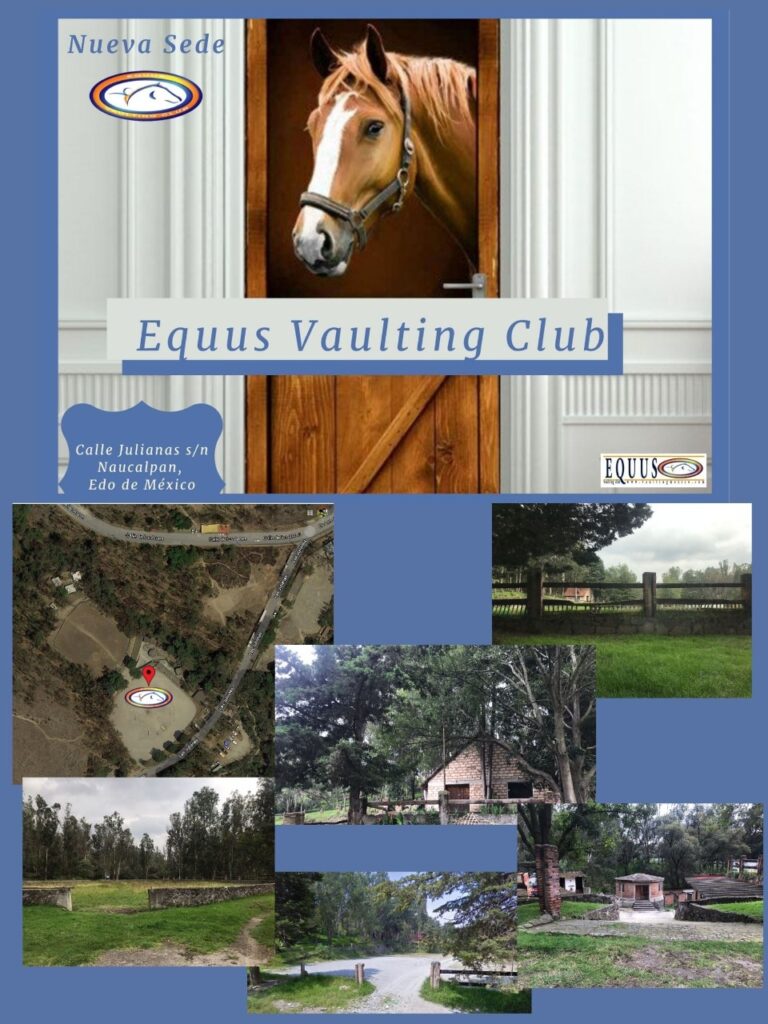 equus vaulting club