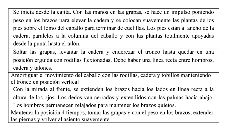 Todos en el Partidor - APROBADO NUEVO REGLAMENTO DE LA FUSTA 💥 Tras largos  meses de trabajo al interior del Consejo Superior de la Hípica, finalmente  quedó aprobado el nuevo reglamento sobre