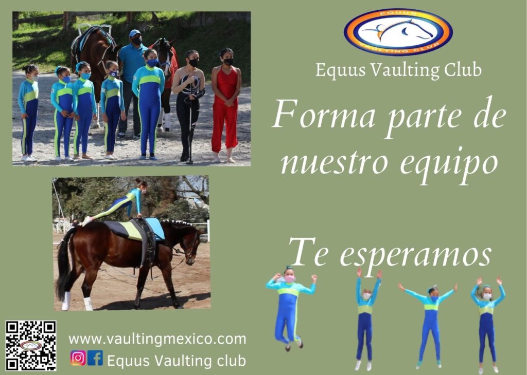 equus vaulting club